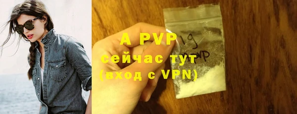 стафф Баксан