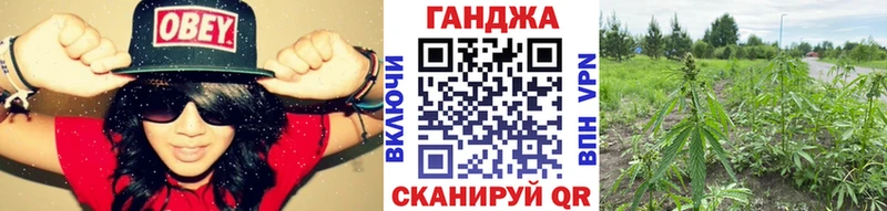 blacksprut как войти  Балтийск  Конопля Amnesia 